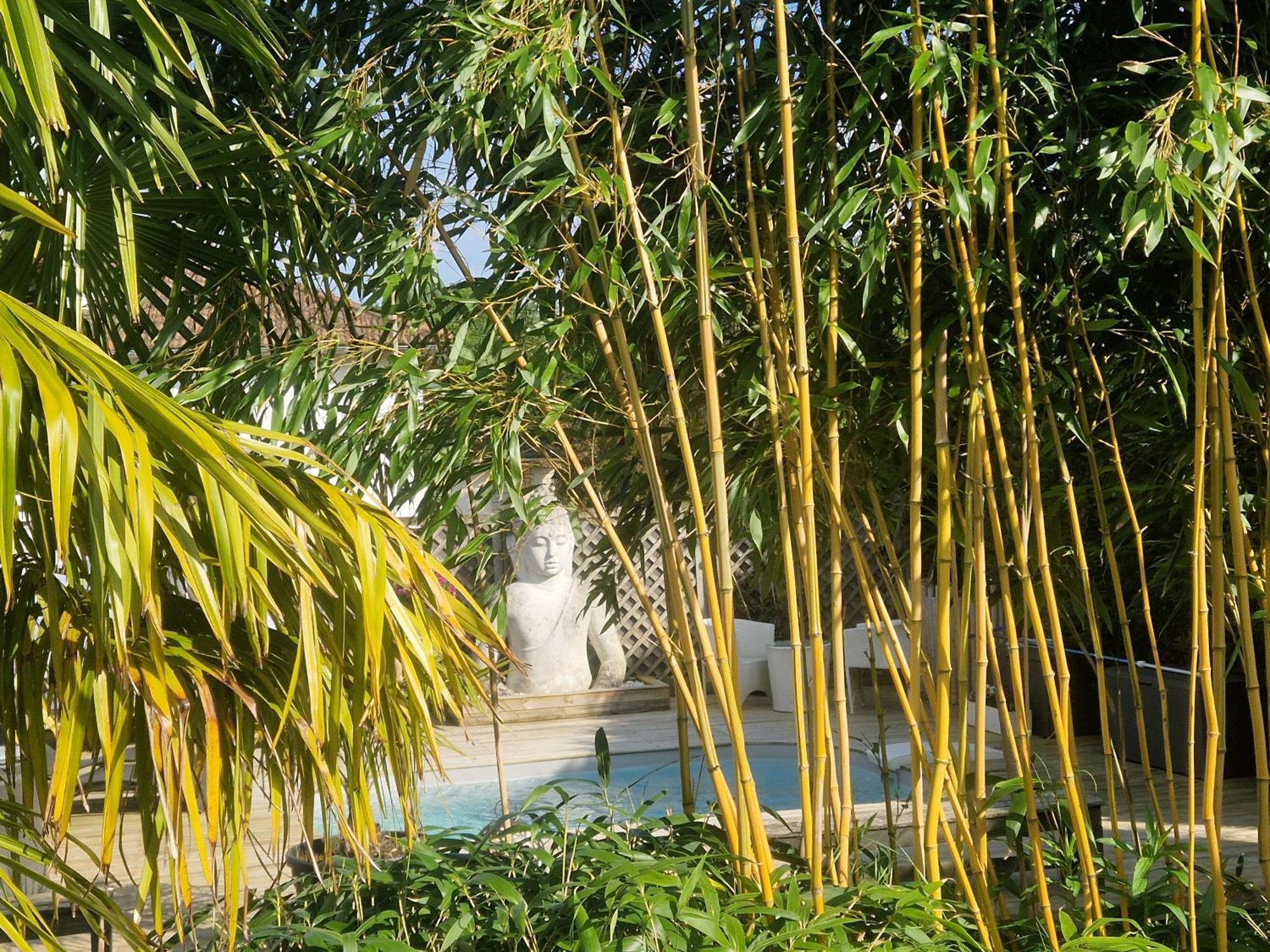 La Serenite Balinaise, Chambre Et Sdb Privee, Jardin , Piscine Et Jacuzzi En Saison, Pres De Chantilly, Parc Asterix Et Cdg Et Paris En 20' 奥利拉维勒 外观 照片